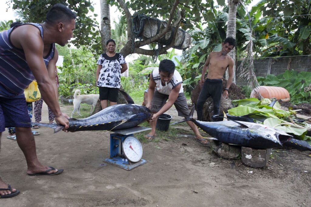 Philippinen - Fischerfamilien - CERD 1